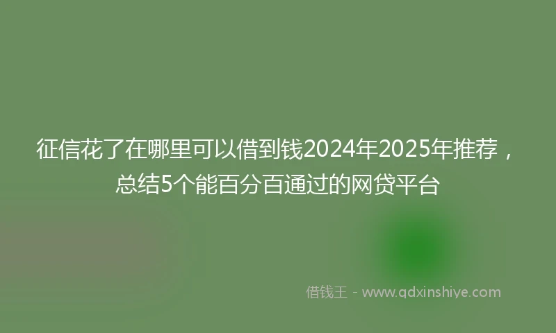 征信花了在哪里可以借到钱2024年2025年推荐，总结5个能百分百通过的网贷平台