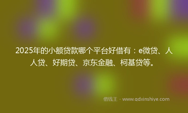 2025年的小额贷款哪个平台好借有：e微贷、人人贷、好期贷、京东金融、柯基贷等。