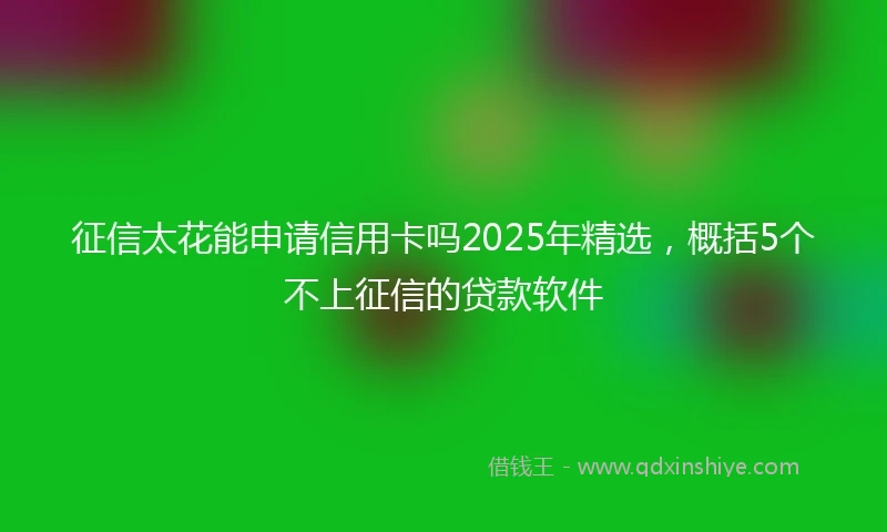 征信太花能申请信用卡吗2025年精选,概括5个不上征信的贷款软件