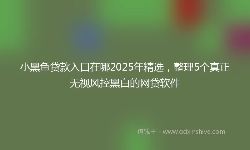 小黑鱼贷款入口在哪2025年精选，整理5个真正无视风控黑白的网贷软件