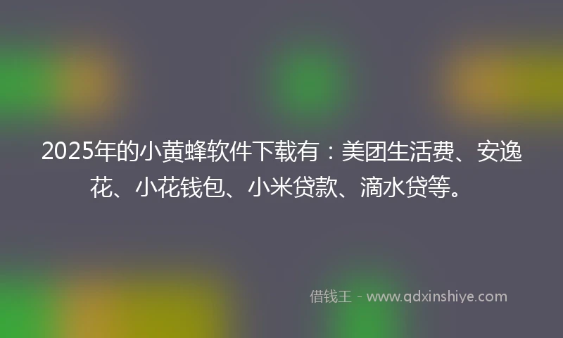 2025年的小黄蜂软件下载有：美团生活费、安逸花、小花钱包、小米贷款、滴水贷等。