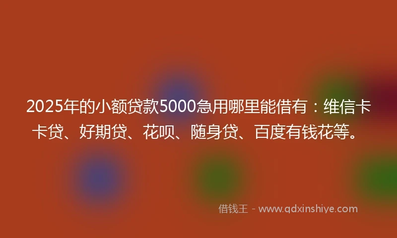 2025年的小额贷款5000急用哪里能借有：维信卡卡贷、好期贷、花呗、随身贷、百度有钱花等。