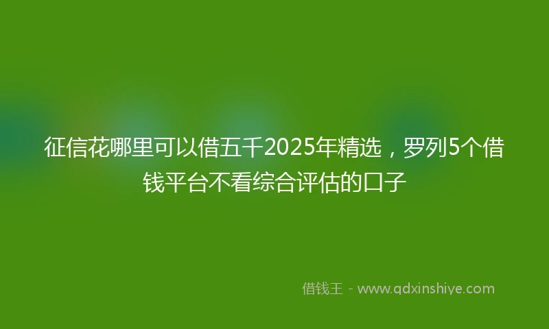 征信花哪里可以借五千2025年精选，罗列5个借钱平台不看综合评估的口子