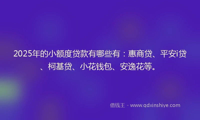 2025年的小额度贷款有哪些有：惠商贷、平安i贷、柯基贷、小花钱包、安逸花等。