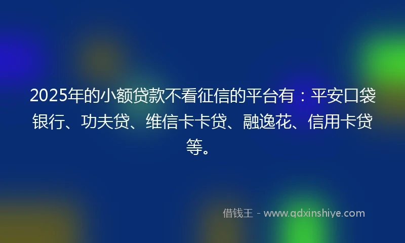 2025年的小额贷款不看征信的平台有：平安口袋银行、功夫贷、维信卡卡贷、融逸花、信用卡贷等。
