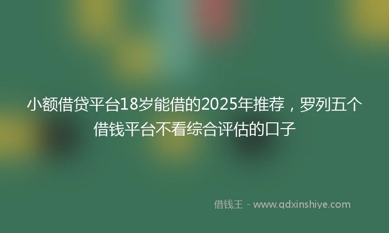小额借贷平台18岁能借的2025年推荐，罗列五个借钱平台不看综合评估的口子