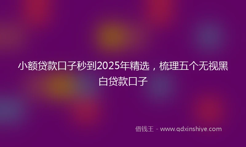 小额贷款口子秒到2025年精选，梳理五个无视黑白贷款口子