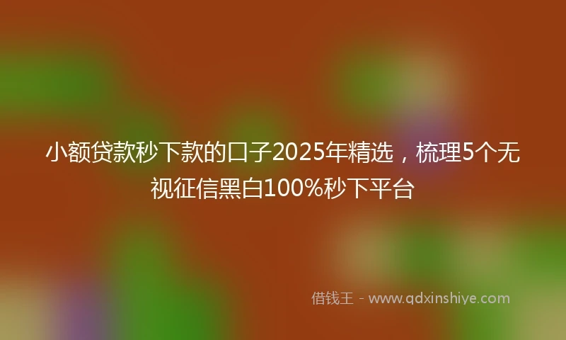小额贷款秒下款的口子2025年精选，梳理5个无视征信黑白100%秒下平台