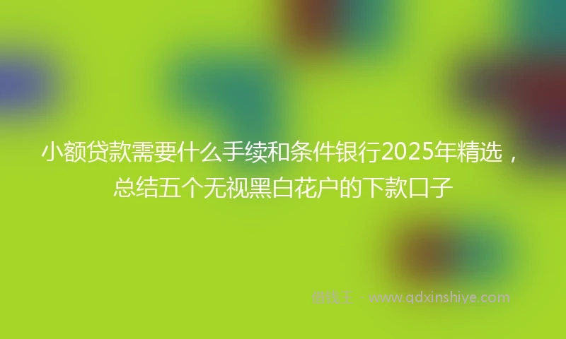 小额贷款需要什么手续和条件银行2025年精选，总结五个无视黑白花户的下款口子