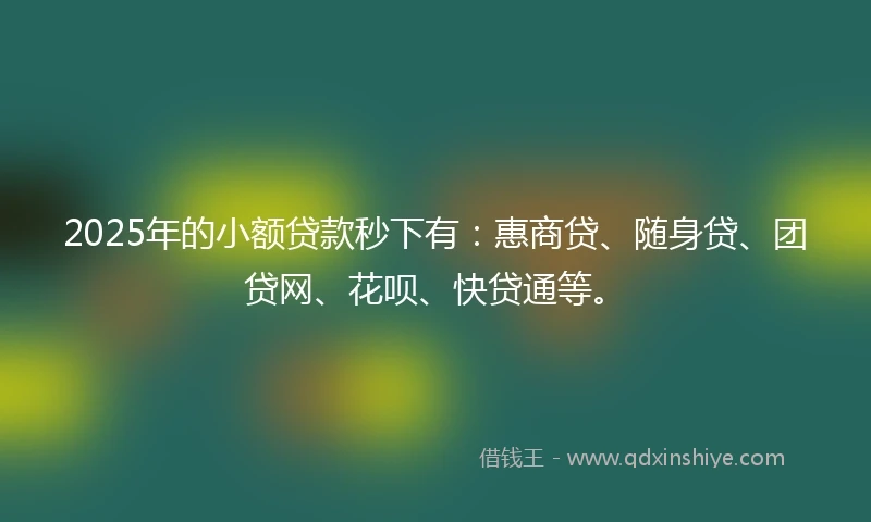 2025年的小额贷款秒下有：惠商贷、随身贷、团贷网、花呗、快贷通等。