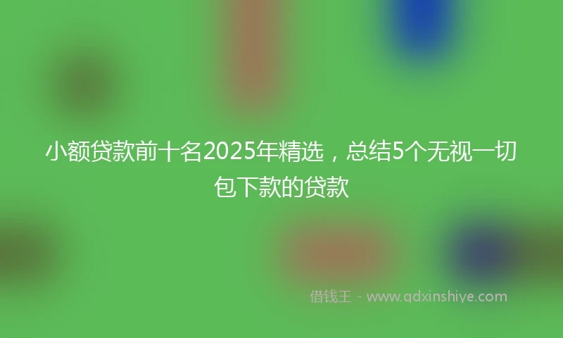 小额贷款前十名2025年精选，总结5个无视一切包下款的贷款