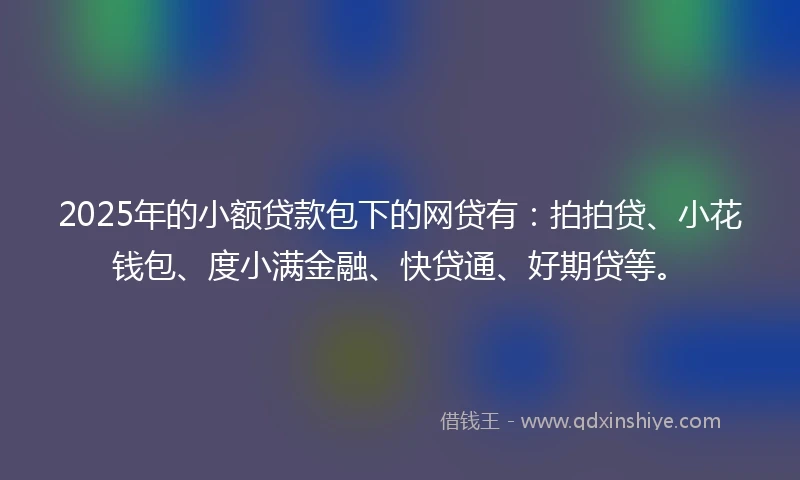 2025年的小额贷款包下的网贷有：拍拍贷、小花钱包、度小满金融、快贷通、好期贷等。