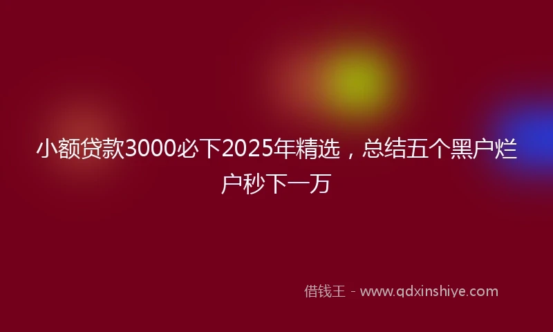 小额贷款3000必下2025年精选，总结五个黑户烂户秒下一万