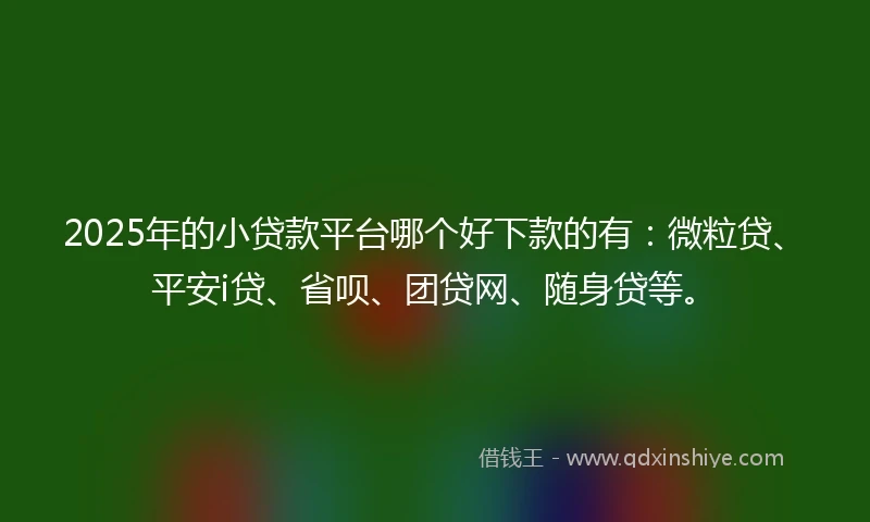 2025年的小贷款平台哪个好下款的有：微粒贷、平安i贷、省呗、团贷网、随身贷等。