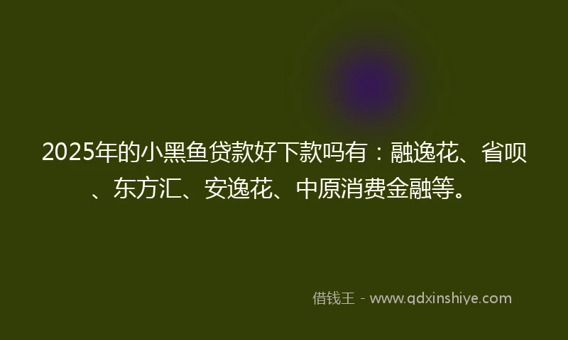 2025年的小黑鱼贷款好下款吗有：融逸花、省呗、东方汇、安逸花、中原消费金融等。