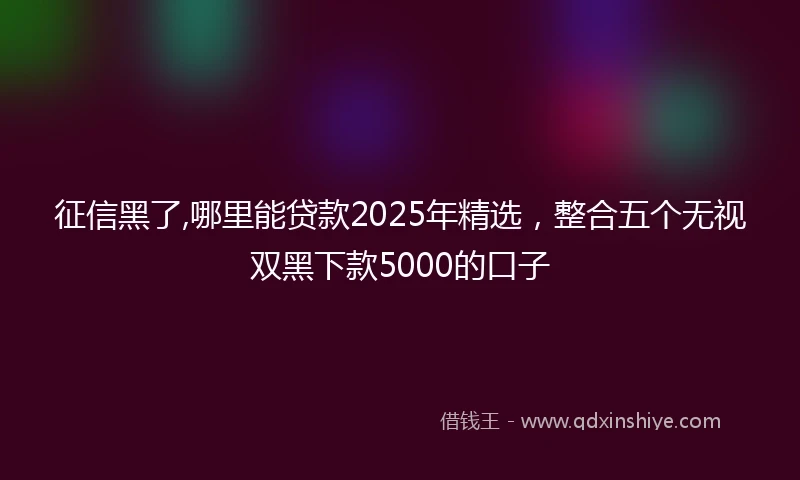 征信黑了,哪里能贷款2025年精选，整合五个无视双黑下款5000的口子