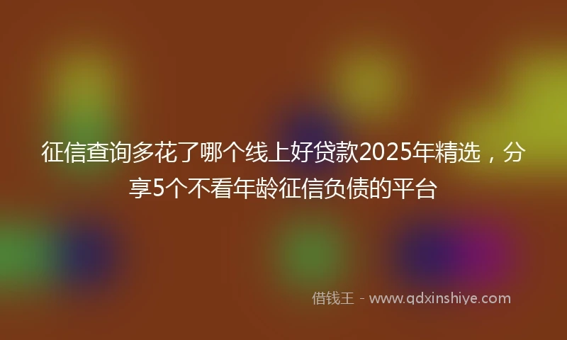 征信查询多花了哪个线上好贷款2025年精选，分享5个不看年龄征信负债的平台