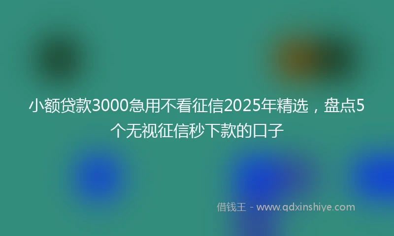 小额贷款3000急用不看征信2025年精选，盘点5个无视征信秒下款的口子