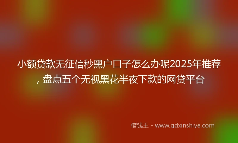 小额贷款无征信秒黑户口子怎么办呢2025年推荐，盘点五个无视黑花半夜下款的网贷平台