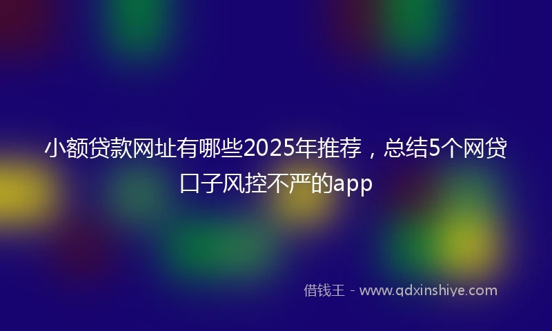 小额贷款网址有哪些2025年推荐，总结5个网贷口子风控不严的app