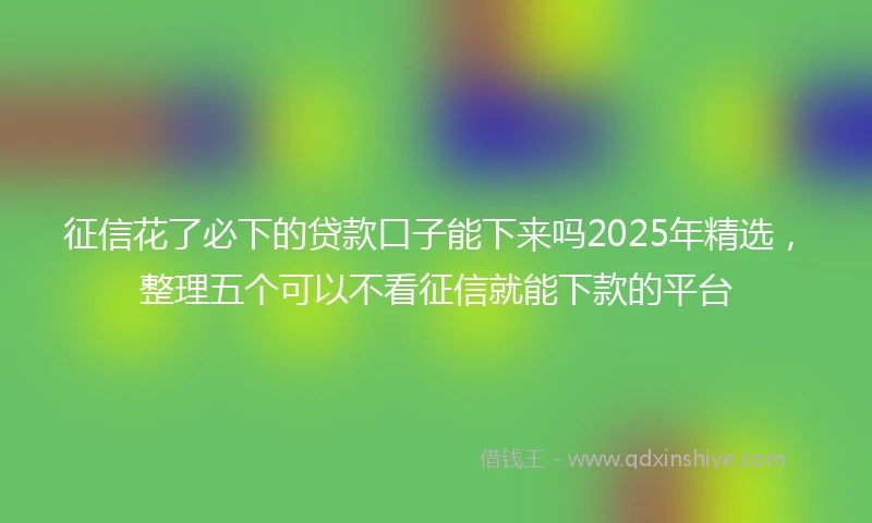 征信花了必下的贷款口子能下来吗2025年精选，整理五个可以不看征信就能下款的平台