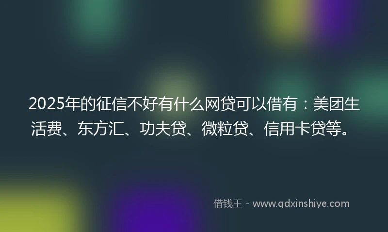 2025年的征信不好有什么网贷可以借有:美团生活费、东方汇、功夫贷、微粒贷、信用卡贷等。