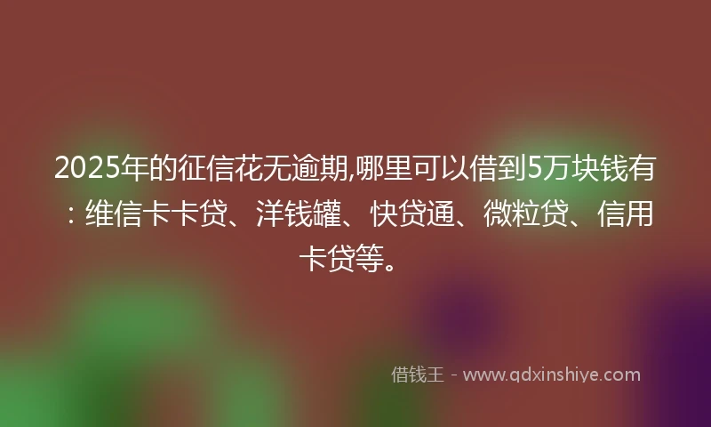 2025年的征信花无逾期,哪里可以借到5万块钱有：维信卡卡贷、洋钱罐、快贷通、微粒贷、信用卡贷等。