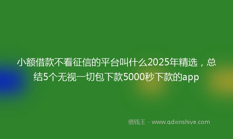 小额借款不看征信的平台叫什么2025年精选，总结5个无视一切包下款5000秒下款的app