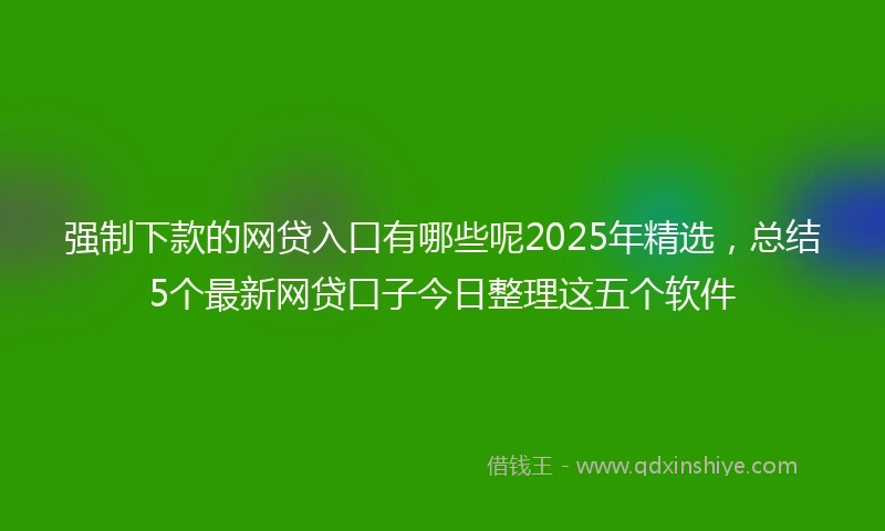 强制下款的网贷入口有哪些呢2025年精选，总结5个最新网贷口子今日整理这五个软件