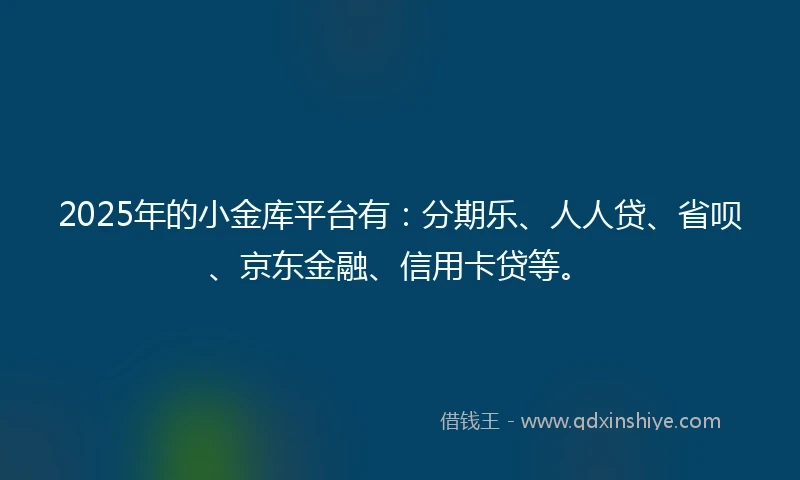 2025年的小金库平台有：分期乐、人人贷、省呗、京东金融、信用卡贷等。