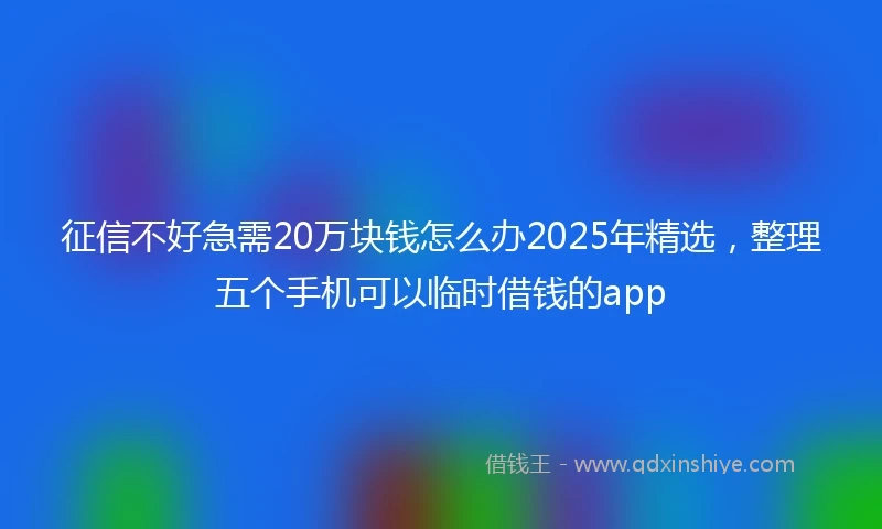 征信不好急需20万块钱怎么办2025年精选，整理五个手机可以临时借钱的app