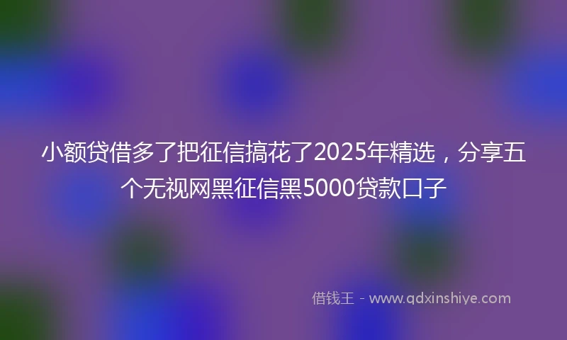 小额贷借多了把征信搞花了2025年精选，分享五个无视网黑征信黑5000贷款口子