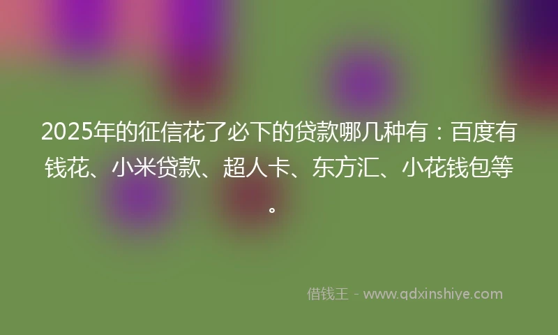 2025年的征信花了必下的贷款哪几种有：百度有钱花、小米贷款、超人卡、东方汇、小花钱包等。