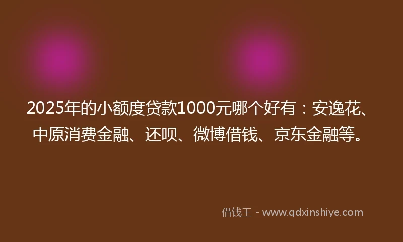 2025年的小额度贷款1000元哪个好有：安逸花、中原消费金融、还呗、微博借钱、京东金融等。