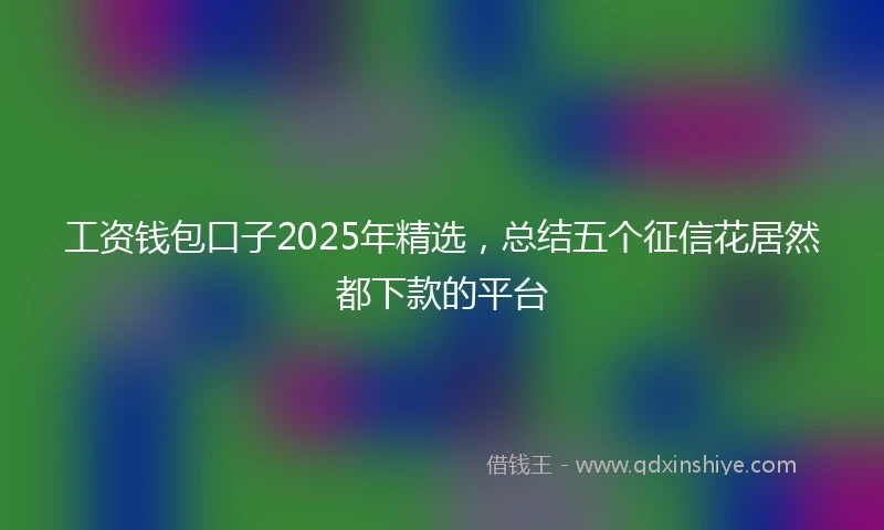 工资钱包口子2025年精选，总结五个征信花居然都下款的平台