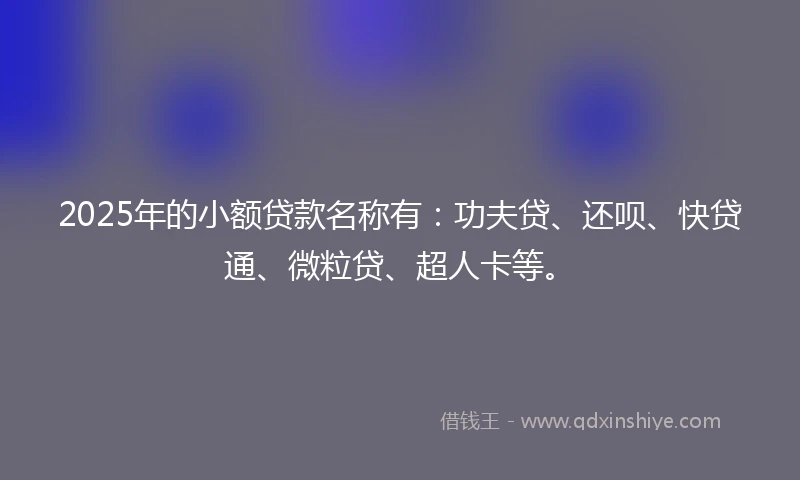 2025年的小额贷款名称有：功夫贷、还呗、快贷通、微粒贷、超人卡等。