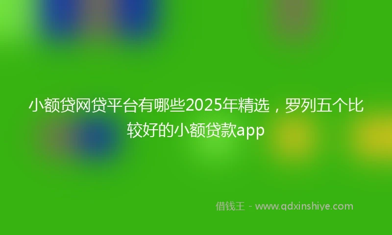 小额贷网贷平台有哪些2025年精选，罗列五个比较好的小额贷款app