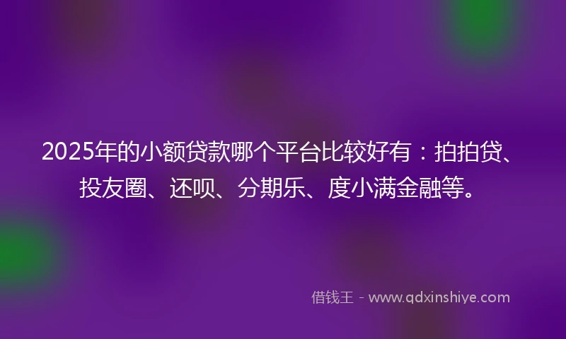 2025年的小额贷款哪个平台比较好有：拍拍贷、投友圈、还呗、分期乐、度小满金融等。