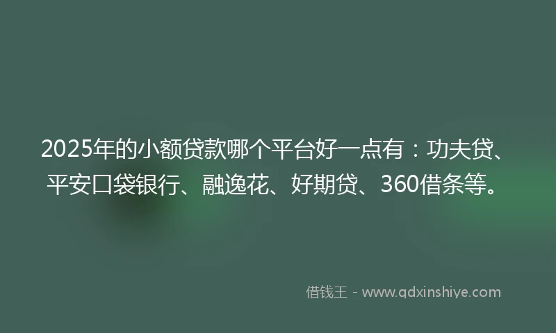 2025年的小额贷款哪个平台好一点有：功夫贷、平安口袋银行、融逸花、好期贷、360借条等。