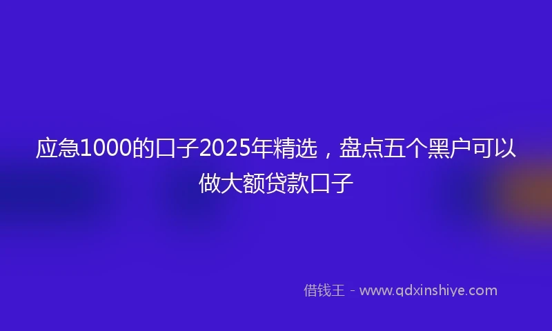 应急1000的口子2025年精选，盘点五个黑户可以做大额贷款口子