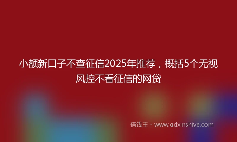 小额新口子不查征信2025年推荐，概括5个无视风控不看征信的网贷