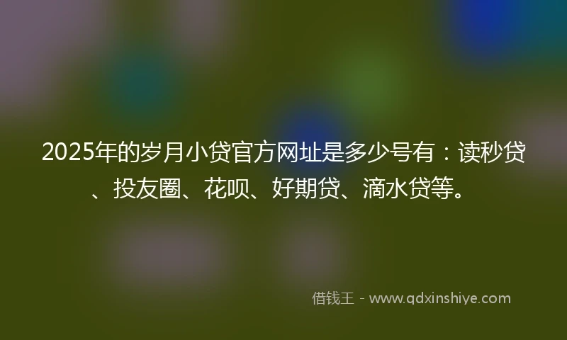 2025年的岁月小贷官方网址是多少号有：读秒贷、投友圈、花呗、好期贷、滴水贷等。
