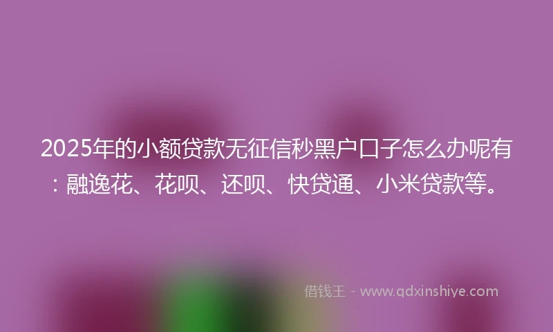 2025年的小额贷款无征信秒黑户口子怎么办呢有：融逸花、花呗、还呗、快贷通、小米贷款等。