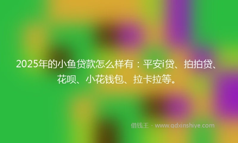 2025年的小鱼贷款怎么样有：平安i贷、拍拍贷、花呗、小花钱包、拉卡拉等。
