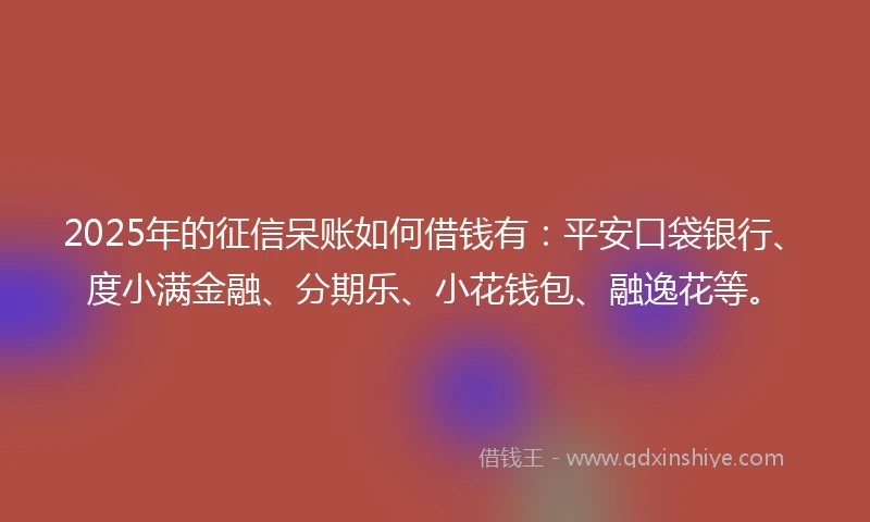 2025年的征信呆账如何借钱有：平安口袋银行、度小满金融、分期乐、小花钱包、融逸花等。