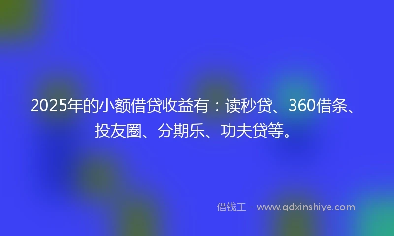 2025年的小额借贷收益有：读秒贷、360借条、投友圈、分期乐、功夫贷等。
