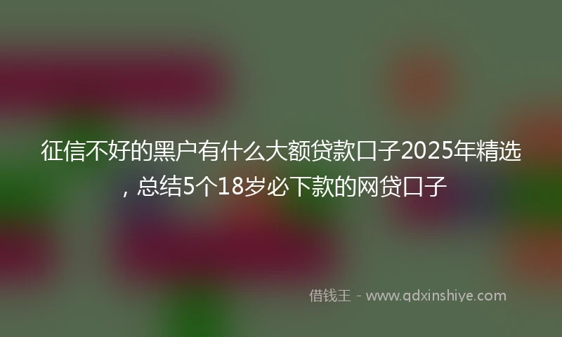 征信不好的黑户有什么大额贷款口子2025年精选，总结5个18岁必下款的网贷口子