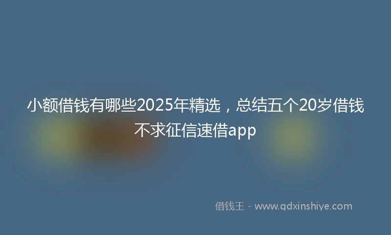 小额借钱有哪些2025年精选，总结五个20岁借钱不求征信速借app