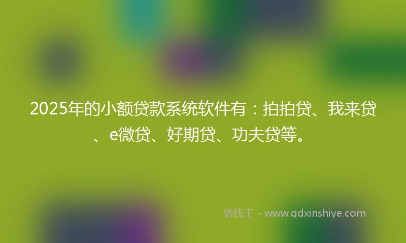 2025年的小额贷款系统软件有：拍拍贷、我来贷、e微贷、好期贷、功夫贷等。