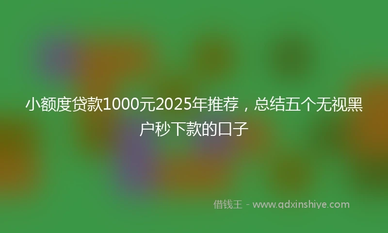 小额度贷款1000元2025年推荐，总结五个无视黑户秒下款的口子